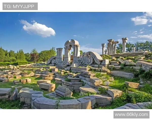 韩国13号足球明星的辉煌历程与未来展望解析