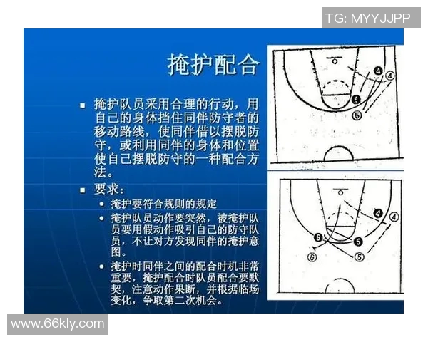 北京篮球队的速度分析与战术应用探讨如何提升球队竞争力