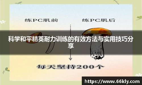 3377体育