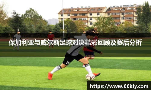 保加利亚与威尔斯足球对决精彩回顾及赛后分析