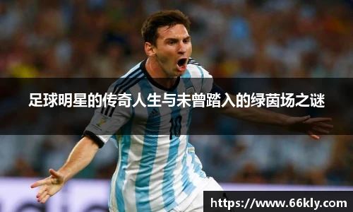 足球明星的传奇人生与未曾踏入的绿茵场之谜